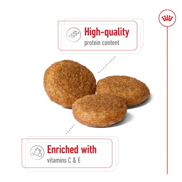 Royal Canin (Medium Adult) Dry Dog Food - Pet Supply